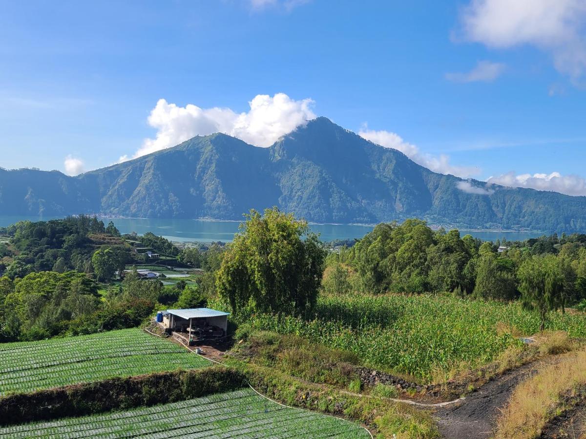 Batur Lake View Kintamani  Exterior photo